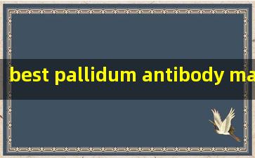  best pallidum antibody manufacturer